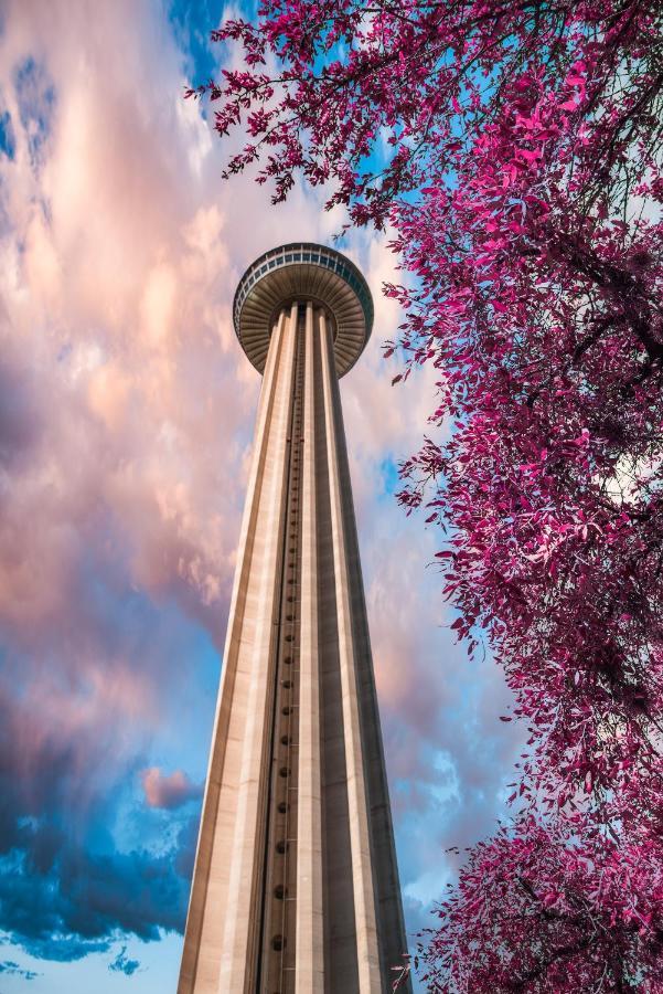 Alamo City Haven سان أنطونيو المظهر الخارجي الصورة